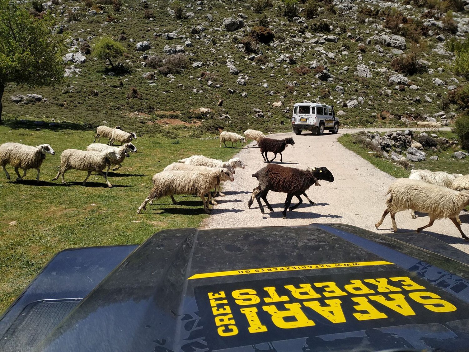 Safari Land Rover - Lasithi Zeus Cave