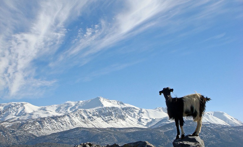 Lasithi Plateau, Crete