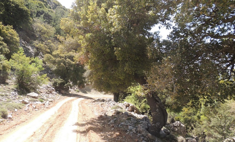 Jeep Safari to Sarakina Gorge